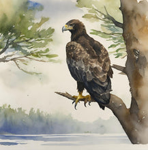 Load image into Gallery viewer, 'Rise of an Eagle' - Children's Paperback Book