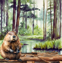 Load image into Gallery viewer, 'Beaver Builds a Wetland' Children's Paperback Book
