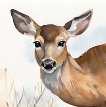 Load image into Gallery viewer, 'Survival of a Fawn' Children's Hardcover Book