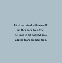 Load image into Gallery viewer, 'Rise of an Eagle' - Children's Hardcover Book