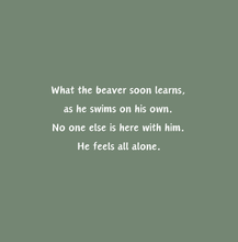 Load image into Gallery viewer, 'Beaver Builds a Wetland' Children's Paperback Book