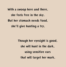 Load image into Gallery viewer, ‘Echoes in the Night, A Brown Bat’s Adventure' Children's Paperback Book