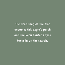 Load image into Gallery viewer, 'Legacy of a Tree' Children's Paperback Book