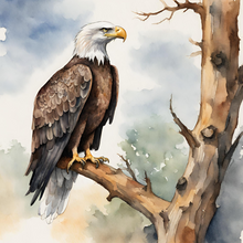 Load image into Gallery viewer, 'Legacy of a Tree' Children's Paperback Book