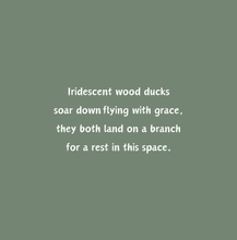 Load image into Gallery viewer, 'Beaver Builds a Wetland' Children's Paperback Book