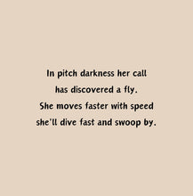 Load image into Gallery viewer, ‘Echoes in the Night, A Brown Bat’s Adventure' Children's Paperback Book