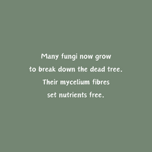 Load image into Gallery viewer, 'Legacy of a Tree' Children's Hardcover Book