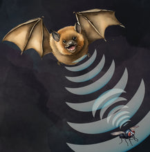 Load image into Gallery viewer, ‘Echoes in the Night, A Brown Bat’s Adventure' Children's Paperback Book