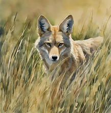 Load image into Gallery viewer, 'Survival of a Fawn' Children's Hardcover Book