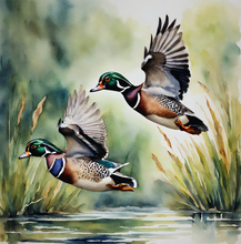 Load image into Gallery viewer, 'Beaver Builds a Wetland' Children's Paperback Book