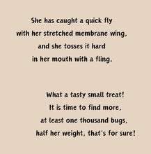 Load image into Gallery viewer, ‘Echoes in the Night, A Brown Bat’s Adventure' Children's Paperback Book