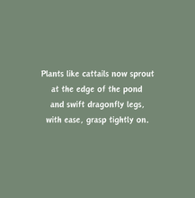 Load image into Gallery viewer, 'Beaver Builds a Wetland' Children's Paperback Book