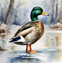 Load image into Gallery viewer, 'Rise of an Eagle' - Children's Paperback Book