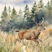 Load image into Gallery viewer, 'Survival of a Fawn' Children's Hardcover Book