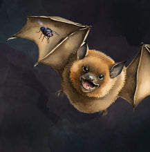 Load image into Gallery viewer, ‘Echoes in the Night, A Brown Bat’s Adventure' Children's Paperback Book