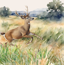 Load image into Gallery viewer, 'Survival of a Fawn' Children's Hardcover Book