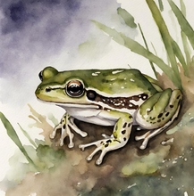 Load image into Gallery viewer, 'Beaver Builds a Wetland' Children's Paperback Book