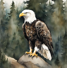 Load image into Gallery viewer, 'Rise of an Eagle' - Children's Paperback Book