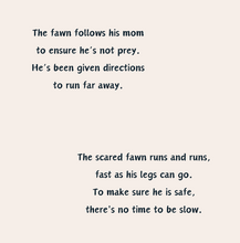 Load image into Gallery viewer, 'Survival of a Fawn' Children's Hardcover Book