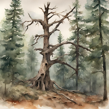 Load image into Gallery viewer, 'Legacy of a Tree' Children's Hardcover Book