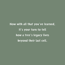 Load image into Gallery viewer, 'Legacy of a Tree' Children's Hardcover Book