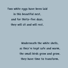 Load image into Gallery viewer, 'Rise of an Eagle' - Children's Paperback Book