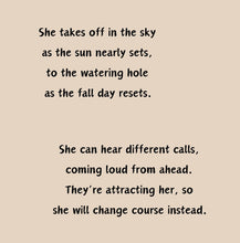 Load image into Gallery viewer, ‘Echoes in the Night, A Brown Bat’s Adventure' Children's Paperback Book