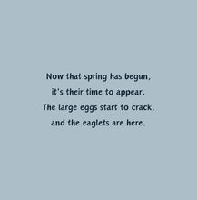Load image into Gallery viewer, 'Rise of an Eagle' - Children's Hardcover Book