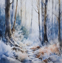 Load image into Gallery viewer, ‘Echoes in the Night, A Brown Bat’s Adventure' Children's Paperback Book