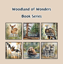 Load image into Gallery viewer, ‘Echoes in the Night, A Brown Bat’s Adventure' Children's Paperback Book