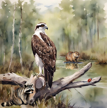 Load image into Gallery viewer, 'Beaver Builds a Wetland' Children's Paperback Book