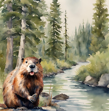 Load image into Gallery viewer, 'Beaver Builds a Wetland' Children's Paperback Book