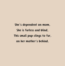 Load image into Gallery viewer, ‘Echoes in the Night, A Brown Bat’s Adventure' Children's Paperback Book