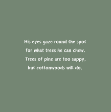 Load image into Gallery viewer, 'Beaver Builds a Wetland' Children's Paperback Book