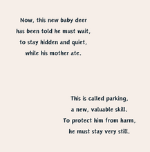 Load image into Gallery viewer, 'Survival of a Fawn' Children's Hardcover Book