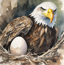 Load image into Gallery viewer, 'Rise of an Eagle' - Children's Hardcover Book