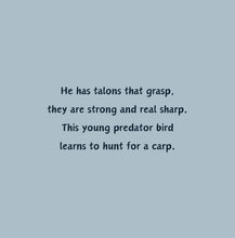 Load image into Gallery viewer, 'Rise of an Eagle' - Children's Paperback Book