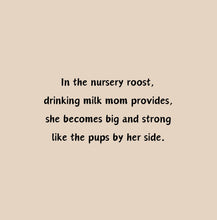 Load image into Gallery viewer, ‘Echoes in the Night, A Brown Bat’s Adventure' Children's Paperback Book