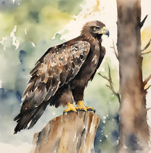 Load image into Gallery viewer, 'Rise of an Eagle' - Children's Hardcover Book