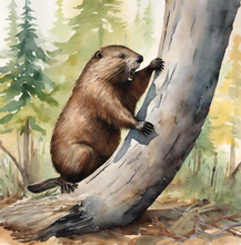 Load image into Gallery viewer, 'Beaver Builds a Wetland' Children's Paperback Book