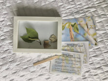 Load image into Gallery viewer, Woodland Wonders