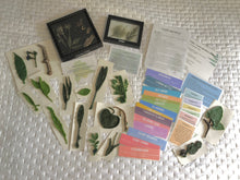 Load image into Gallery viewer, Woodland Wonders