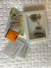 Load image into Gallery viewer, Woodland Wonders