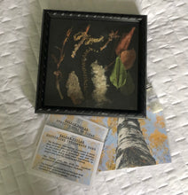 Load image into Gallery viewer, Woodland Wonders