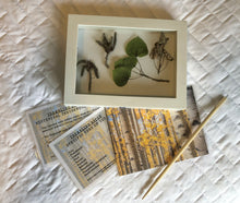 Load image into Gallery viewer, Woodland Wonders