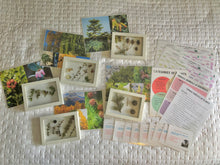 Load image into Gallery viewer, Woodland Wonders