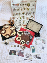 Load image into Gallery viewer, Life Cycles