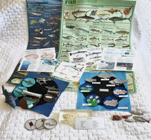 Load image into Gallery viewer, Life Cycles