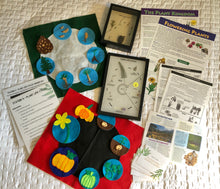 Load image into Gallery viewer, Station: Plant Life Cycles