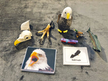 Load image into Gallery viewer, Adaptations